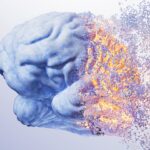 Το αλκοόλ ενεργοποιεί μικρογλοία που βλάπτουν τη δομική μήτρα του εγκεφάλου