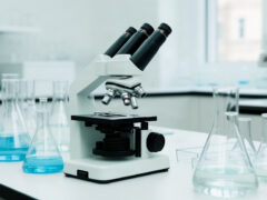 Εικονογράφηση με τεχνητή νοημοσύνη: Νέα μελέτη: Ο Jeronimus Cornelisz ως πρώτος αναγνωρίσιμος «εταιρικός ψυχοπαθής»