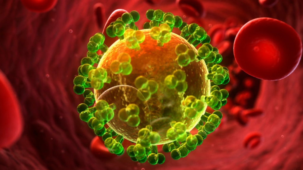 Πειραματικό αντίσωμα κράτησε ιό τύπου HIV σε ύφεση σε μαϊμού
