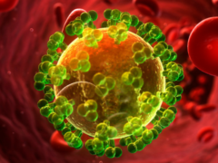 Πειραματικό αντίσωμα κράτησε ιό τύπου HIV σε ύφεση σε μαϊμού