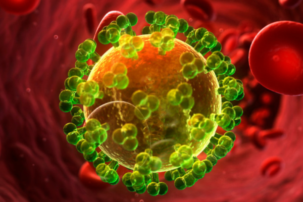 Πειραματικό αντίσωμα κράτησε ιό τύπου HIV σε ύφεση σε μαϊμού